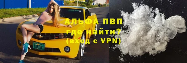 стаф Медвежьегорск