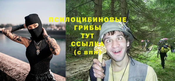 стаф Медвежьегорск