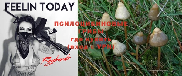 дмт Мегион