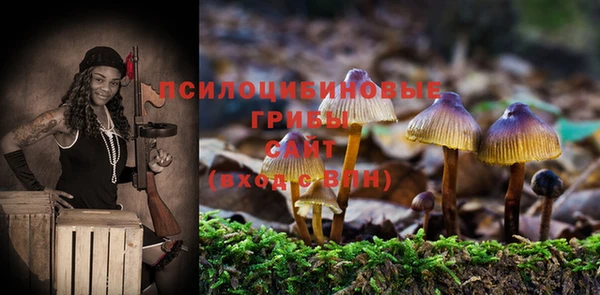 мет Магас