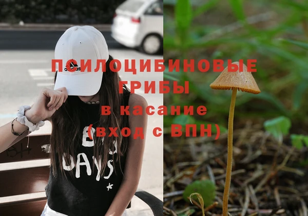 стаф Медвежьегорск