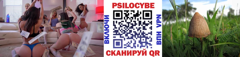 Купить  Волгодонск  Галлюциногенные грибы мицелий 